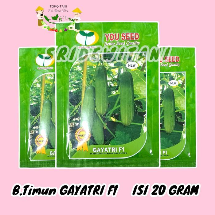 Swaylineshop Bibit Timun Tahan Virus Gayatri F1 20 Gram You Seed Setara Benih Bandana Panah Merah