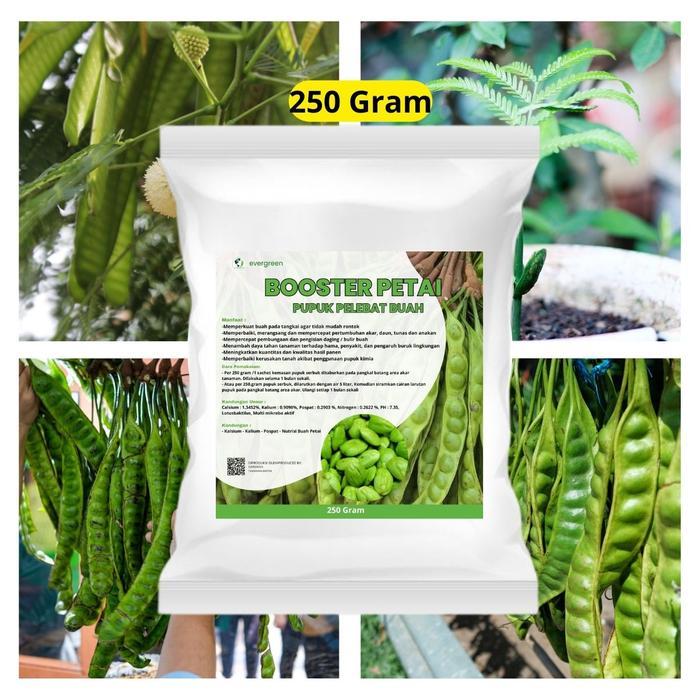 "New" Pupuk Petai Booster 250 gram - Pupuk Pelebat Buah Petai - Pupuk Petai