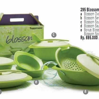 blossom collection tupperware