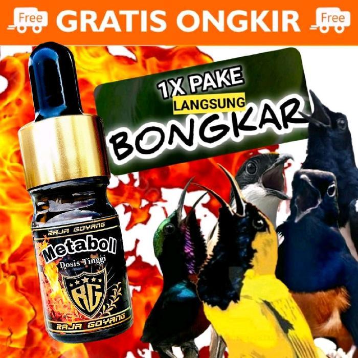 Phoenix Aviary - Metaboll Rg, Terbukti Ampuh Penggacor Burung Sogon,Pleci,Kolibri,Cendet,Dll