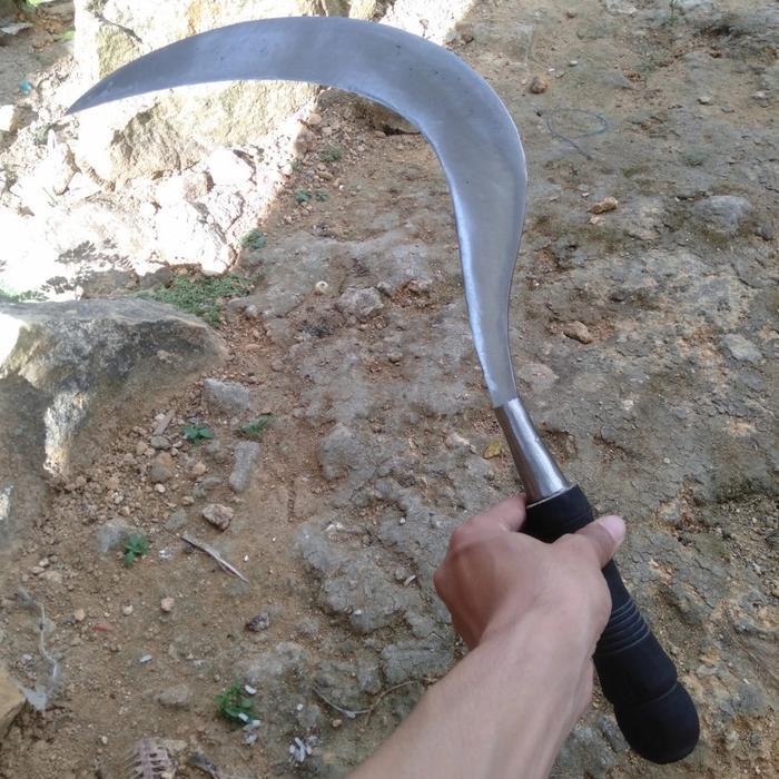 ARIT RUMPUT SUPER TAJAM SABIT PADI BAJA PER MADURA ASLI PISAU CELURIT