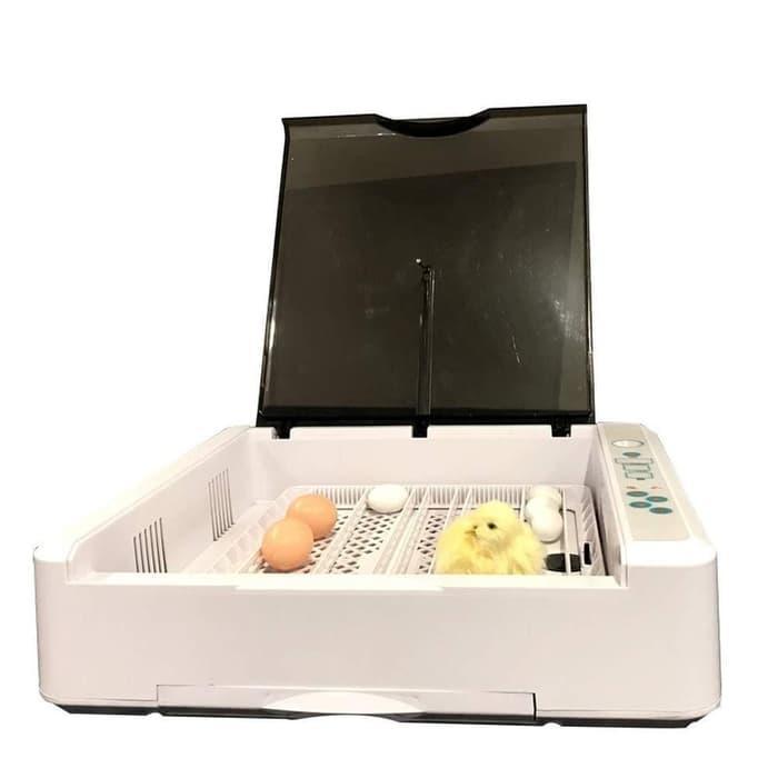 36 egg Incubator Penetas Telur HHD 36 Full Automatis