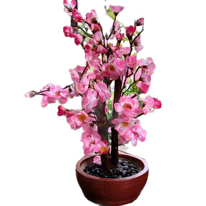 pohon sakura pohon Imlek bunga imlek gong xi bunga meihua tahun baru cina pohon meihua angpao