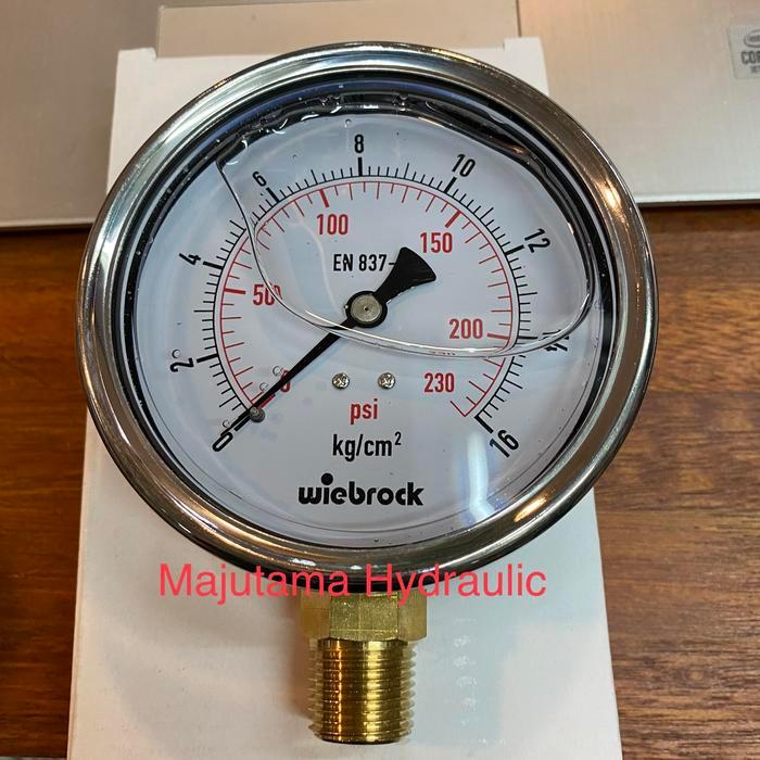 Pressure Gauge 4 Inch 0-16 Bar Stainless