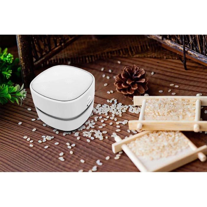 TERLARIS Mini Cleaner Portable Vacuum Cleaner Dry Battery Dust Collector Sweep SALE