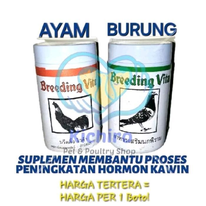 BREEDING VITA (BOTOL) THAILAND AYAM - MERPATI readyyy