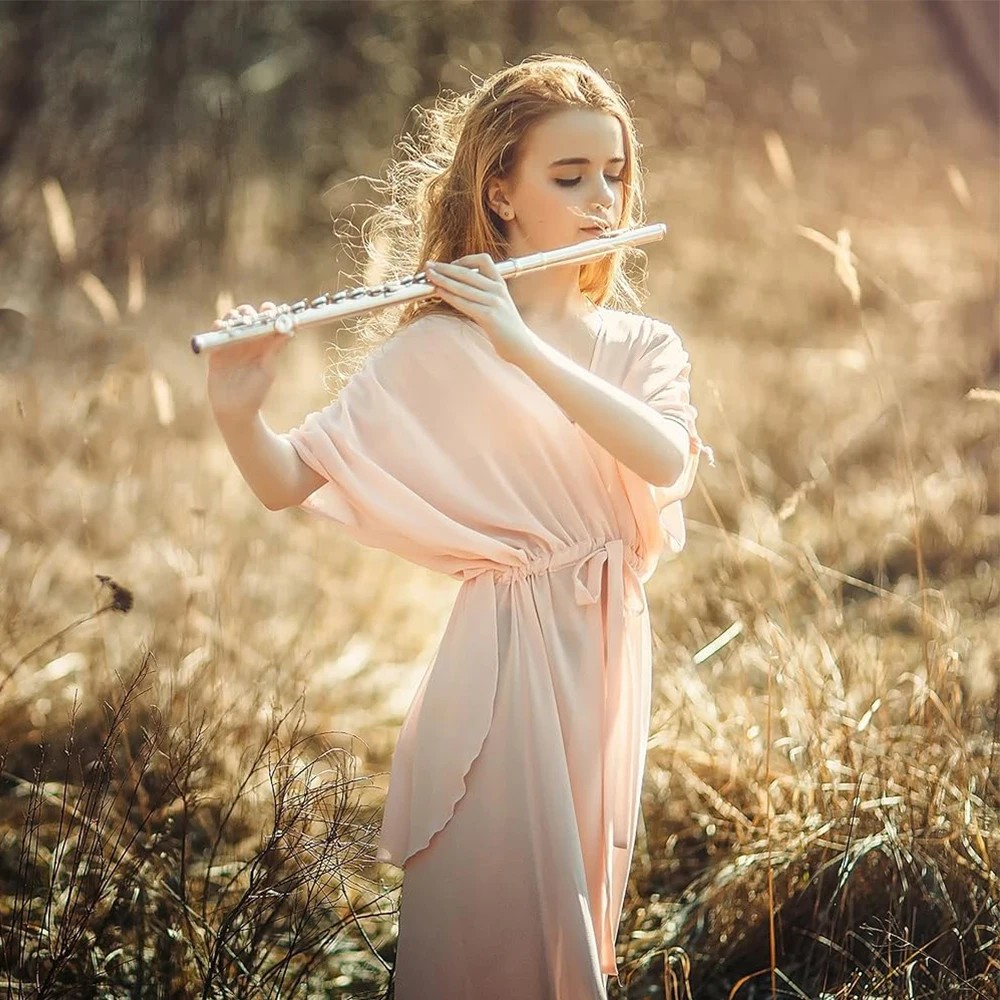 SLADE 16 Closed Holes Flute C Key Cupronickel Concert Transversal Flute Flute Woodwind Instrument