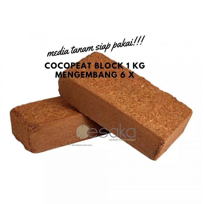 Little_Little_ Oesaka - Cocopeat Blok 6L Mengembang 6 X - Cocopeat Balok 1 Kg Kelapa Jamur