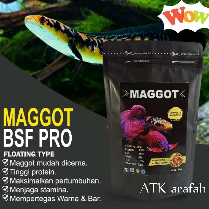 Manggot Bsf Pro manggot kering pakan ikan louhan arwana burung