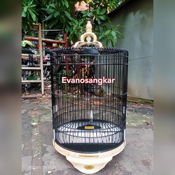 Kandang burung murai tebok PVC motif water printing no 2