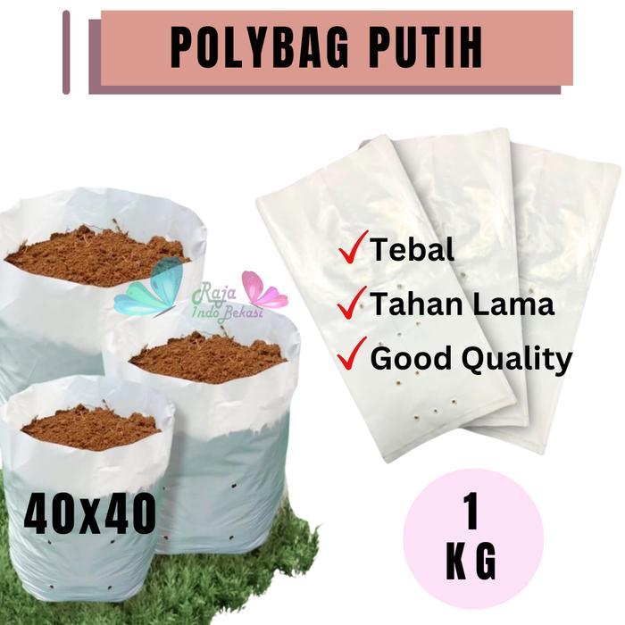 Raja Indo Grosir 1Kg Polybag 40X40 Putih Tebal Polibek Polibag Tanaman 40 Cm
