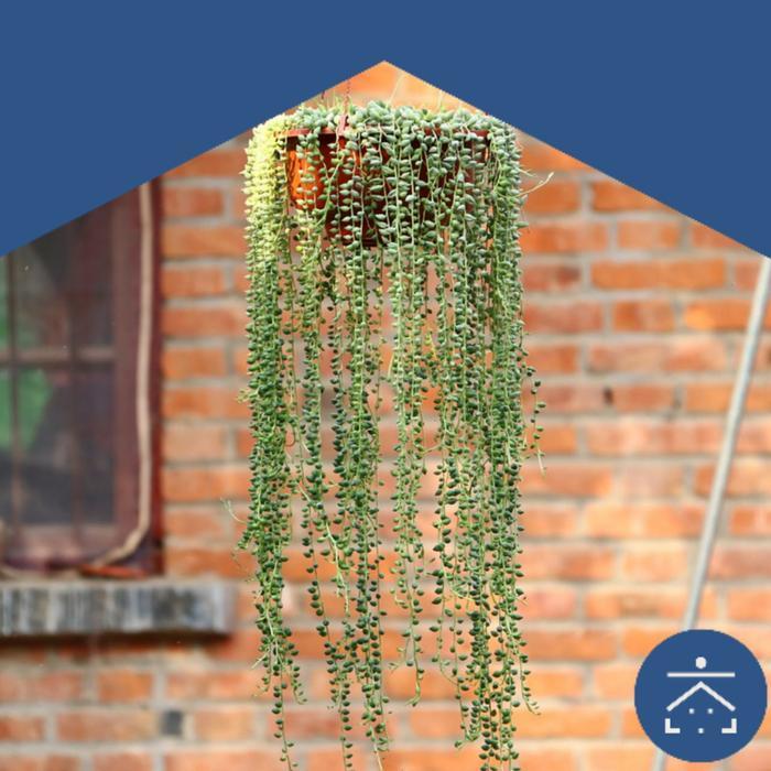 Daun Rambat Plastik Tanaman Hias Indoor Pot Bunga Artificial