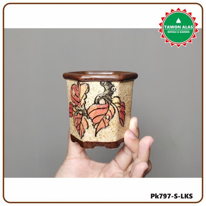 Little_Little_ Pot Bonsai Keramik Mame Segi Enam Unik - Model