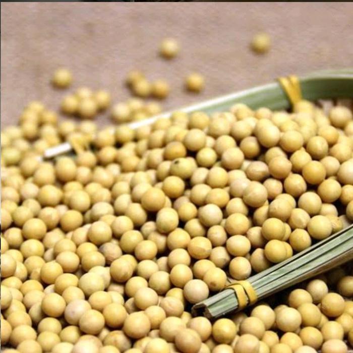 "New" Kacang kedelai impor 1kg Biji mata putih)(khusus buat susu.sule)