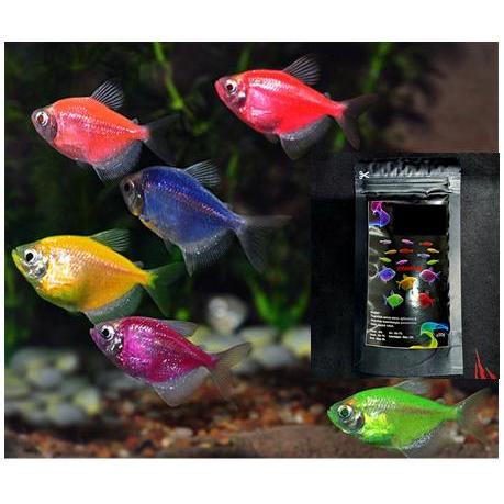 Pellet Pelet Ikan Hias Kecil Pakan Makanan Ikan Hias Kecil Glowfish