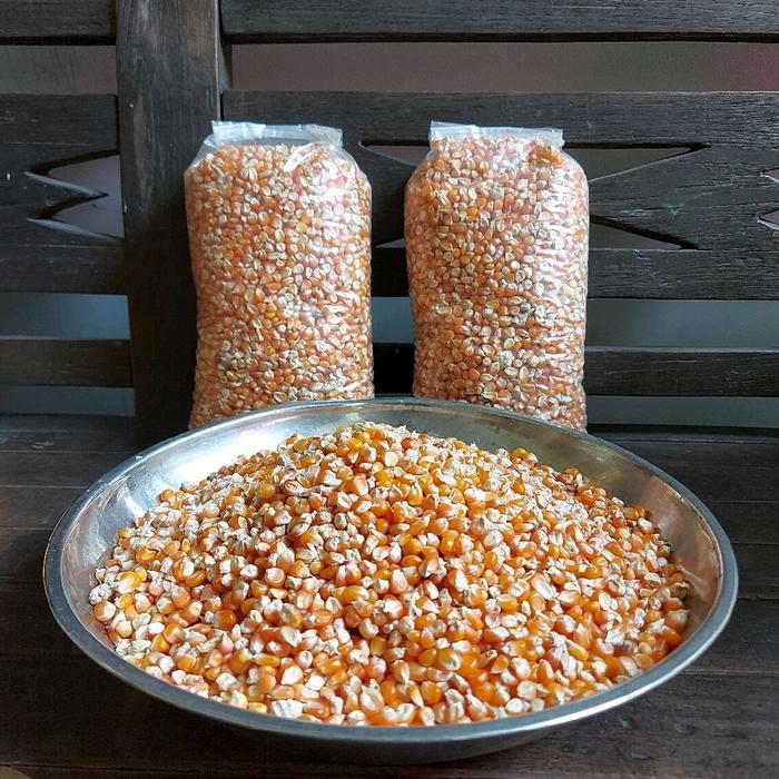 Jagung Kristal Pakan Burung Merpati 1Kg