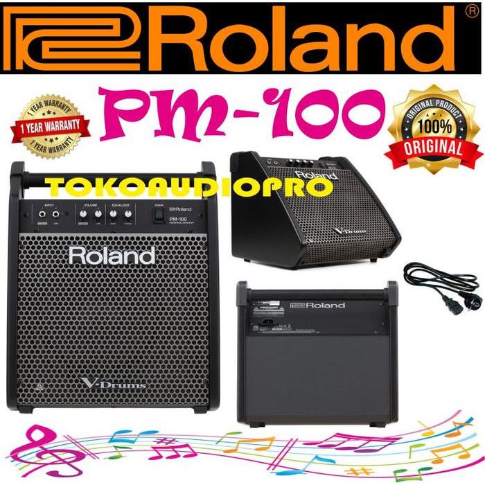 Roland pm100 PM-100 V-Drum Speaker System