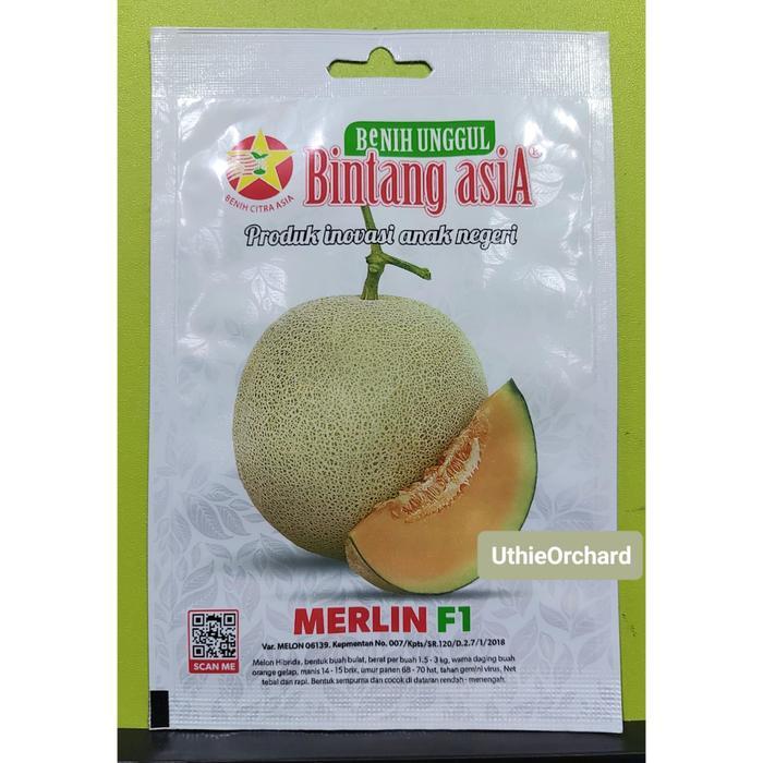 Argotech_ Benih Bintang Asia - Rock Melon Merlin F1 Kemasan 0,5 Gr