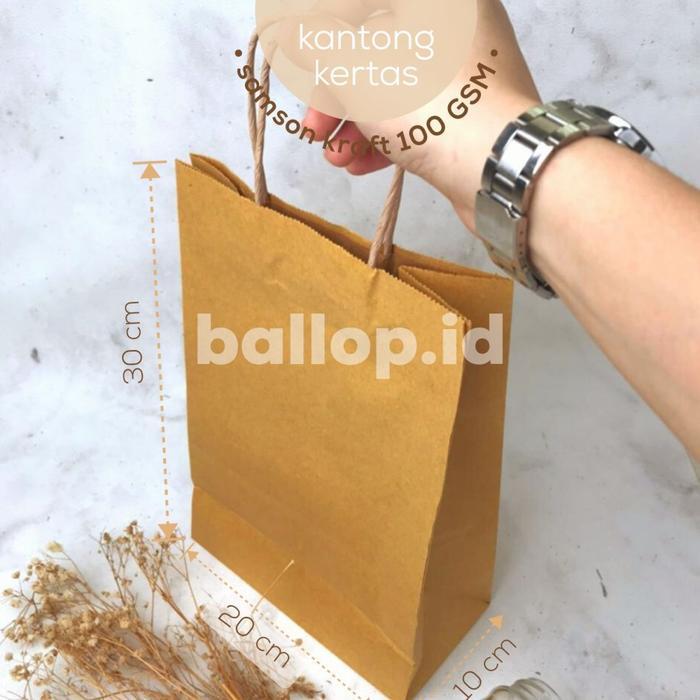 Paper Bag Kantong Kertas Tali L 20 10 30 CM Kotak Box Brownies Hampers Bingkisan