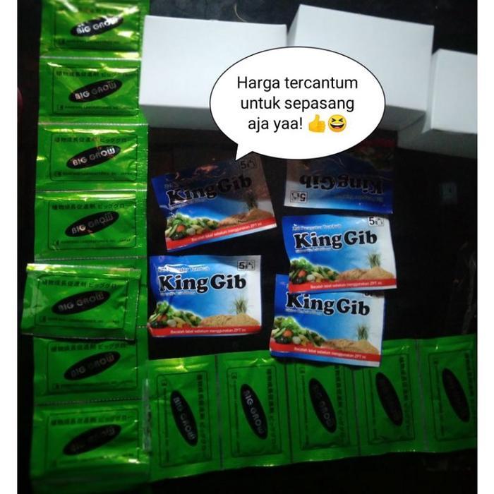 Paket BIG GROW biggrow DAN KING GIB ( NUTRISI PEMBESAR BUAH NAGA)