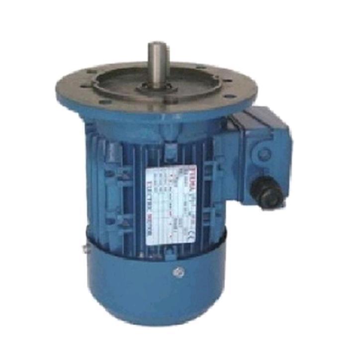 Dinamo Electro Motor Yuema /Adk/Bologna 1/2 Hp 0,37 Kw 3 Phase Flange Hemat