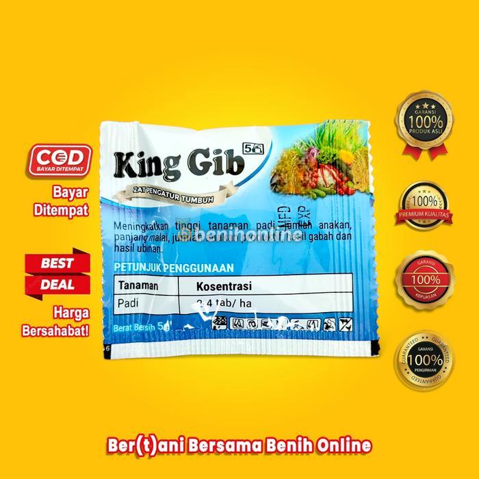 Little_Little_ Zat Pengatur Tumbuh Tanaman- Zpt - King Gib - Gib Gro Big Grow