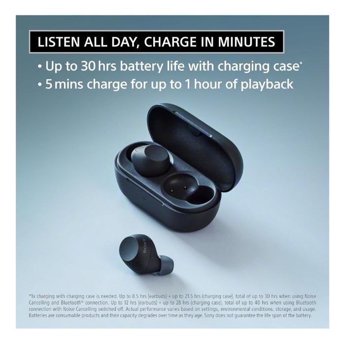Sony Wf-C710N / Wf C710N / Wf C 710N / Wf C 710 N Truly Wireless Noise-Canceling Earbuds / Tws