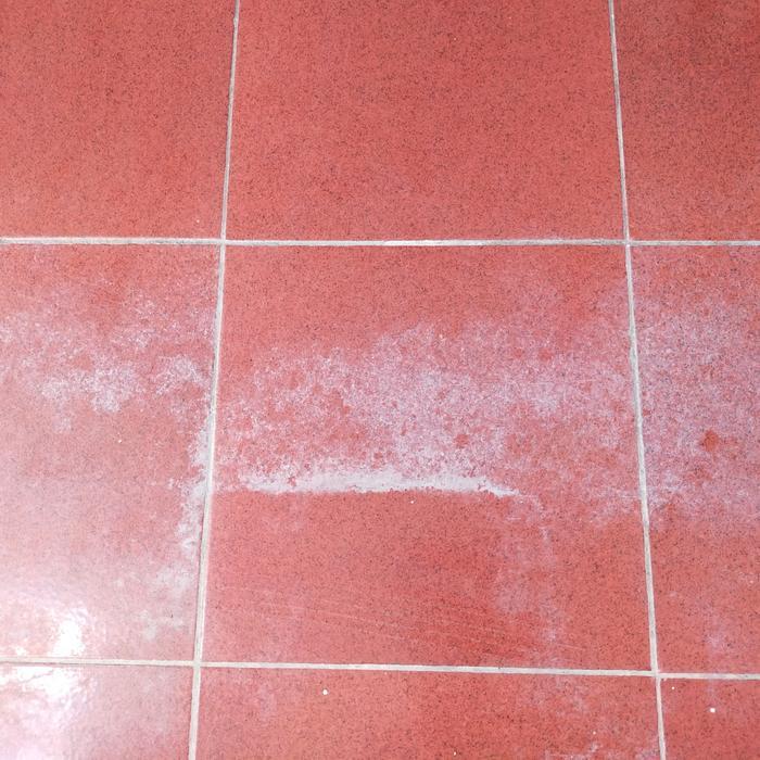 "New" Ecolab lemon eze chemical penghilang kerak air