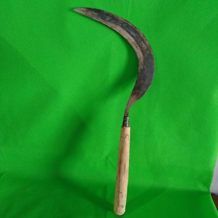 arit Madura pemotonga padi tumbuhan kecil tidak usah mengasah lg