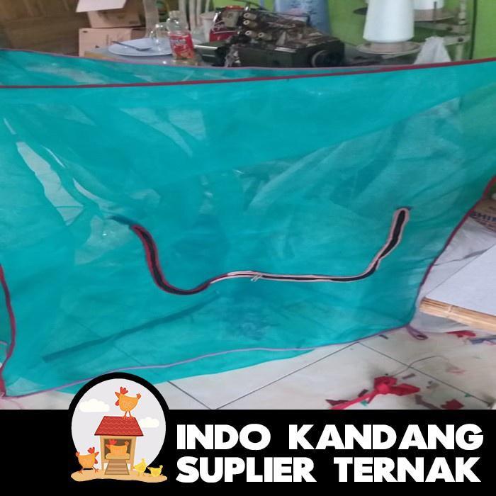 NEW PRODUCT KANDANG LALAT BSF MAGOT MAGGOT LALAT BSF UKURAN VARIASI