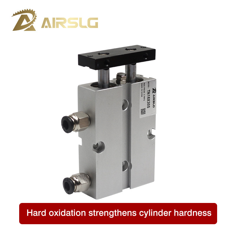 TN Twin Rod Guided Pneumatic Cylinder Dual Shaft Non-Rotating 10 16 20 25 32 40mm Bore Double Acting