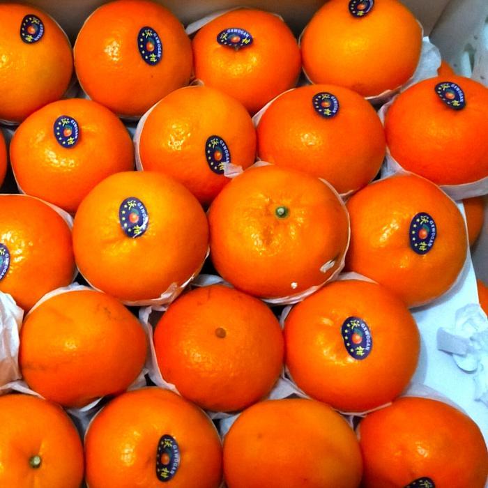 Jeruk Mandarin Wokam per 1 kg Buah Segar Jeruk Wokam