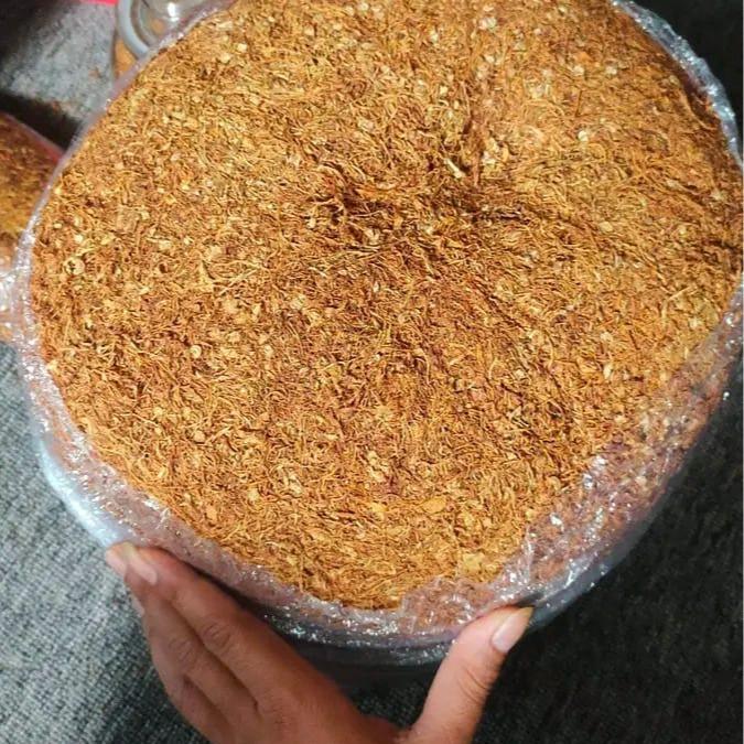 Argotech_ Lamsi Premium Cocopeat Pupuk Organik 500G