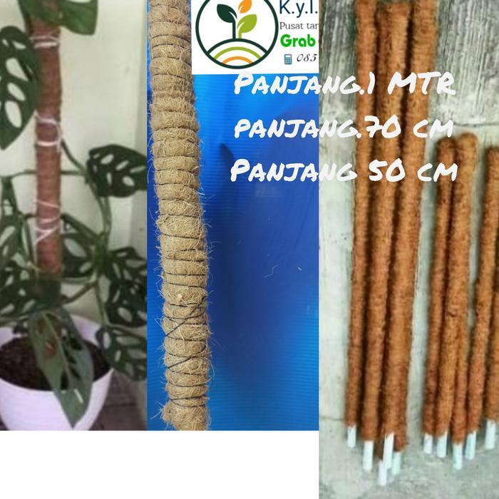 Turus Tiang Penyangga Tanaman / Turus Tanamn Rambat /Penyangga Tanaman