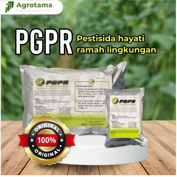 Pestisida Alami Layu, Busuk Buah & Pemacu Pertumbuhan PGPR 1 Kg