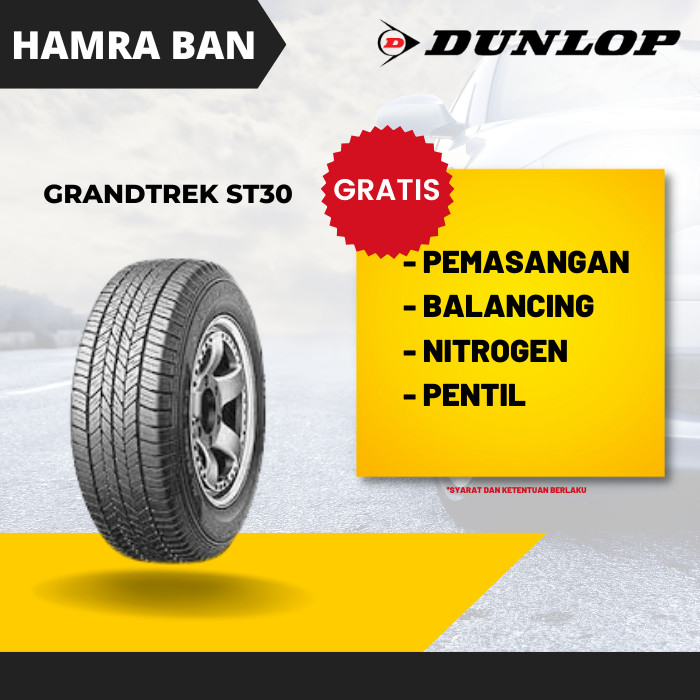 DUNLOP ST30 225/55 R19 BAN MOBIL