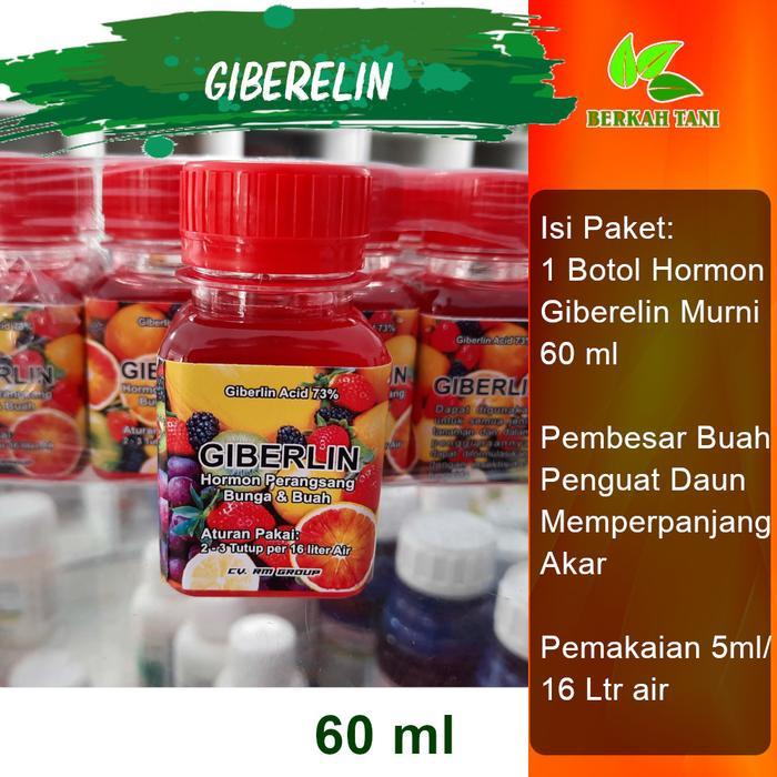 Pesona_Mimin Giberelin Giberellin Ga3