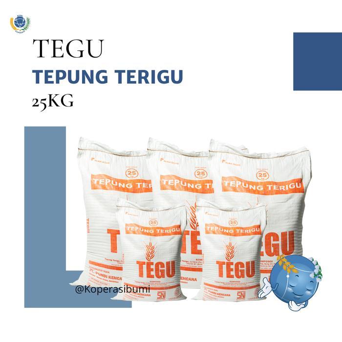 Tepung Terigu Tegu 1 Karung 25 Kg