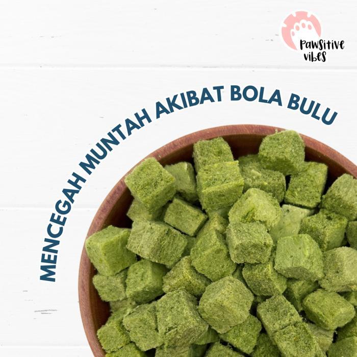PROMO MURAH Pawsitive Vibes Cat Grass Dadu - Snack Rumput Kucing - Cat Grass Premium Grass