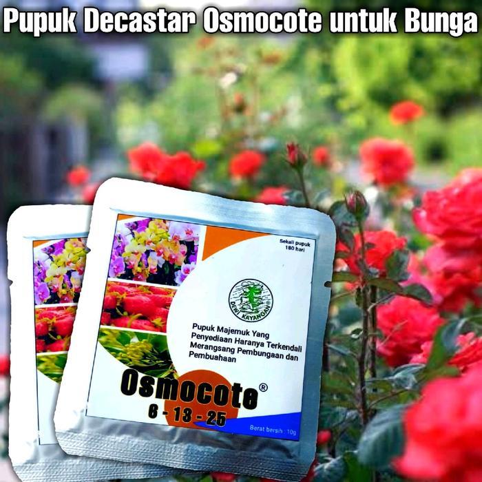 Pupuk Decastar slow release khusus pembungaan 10gr Bunga Bonsai