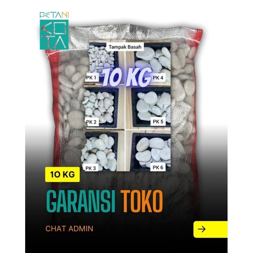 Koralineshop Batu 10 Kg Putih Kupang Taman Koral Coral 1 Karung Aqua Akuarium Besar