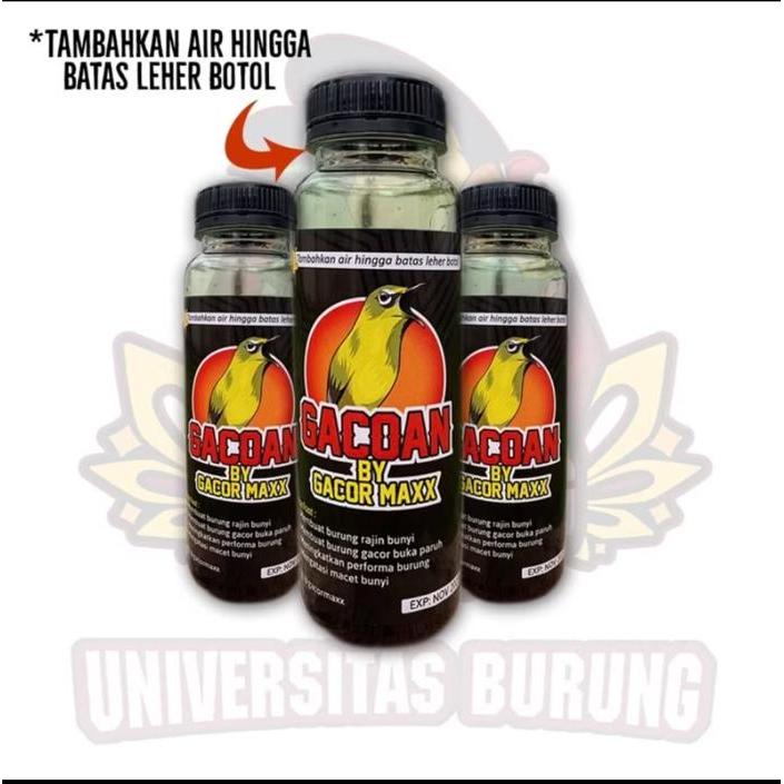 Doping Gacoan Gacormaxx Burung Pleci Sogon Colibri Vitamin Peliharaan Burung