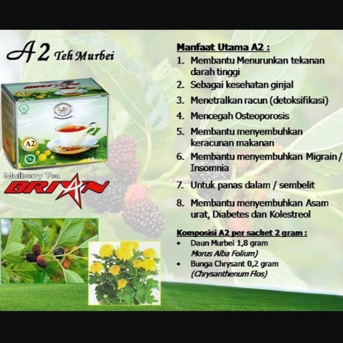 TEH MURBEI A2 / TEH BRIAN / TEH UFO - MENGATASI DIABETES/DARAH TINGGI