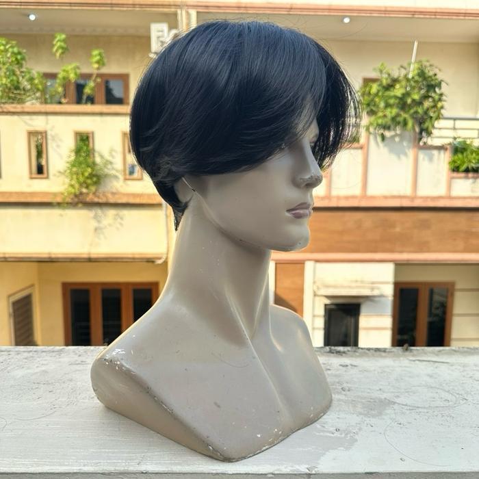 Wig cowok model Korea ALDEN