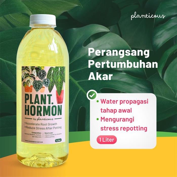 PLANT HORMON HORMON TANAMAN