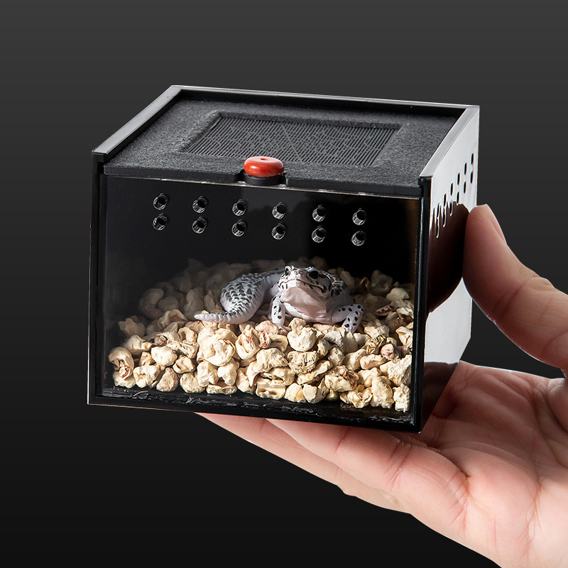 Pet Spider Box Reptile Crawling Pet Feeding Lizard Silkworm Baby Scorpion Unicorn Beetle Insect Pet
