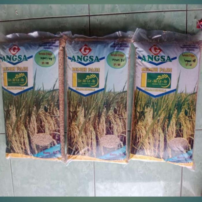 Benih padi inpari 50, 49, 32 FS dan SS ( 5kg )