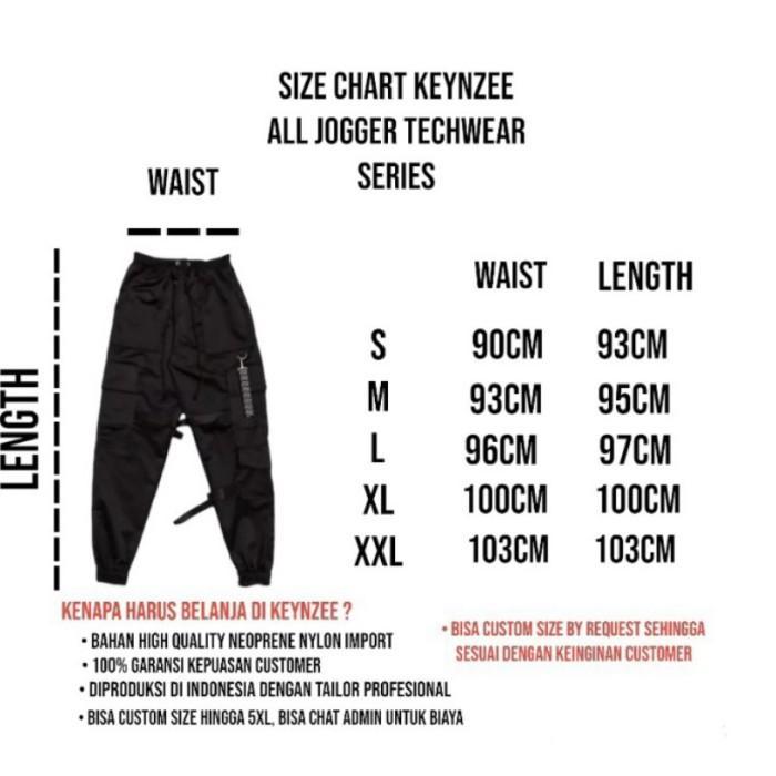Thebest Techwear Pants JOGGER [ READY INDO ] Cyberpunk Harem Cargo Pria Tactic