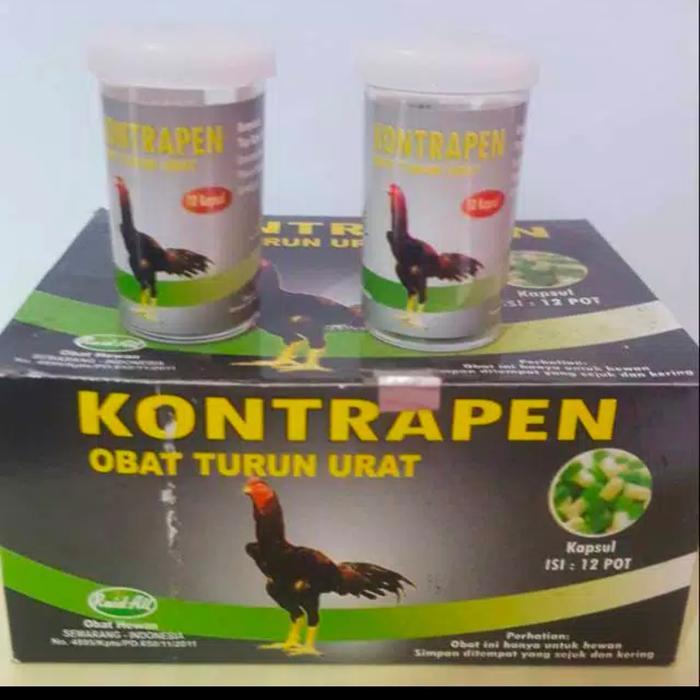 OBAT TURUN URAT KAKI BENGKAK LUMPUH AYAM BANGKOK KONTRAPEN readyyy