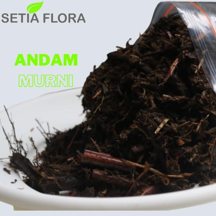 NEWW Media Tanam Humus Andam Murni Karungan